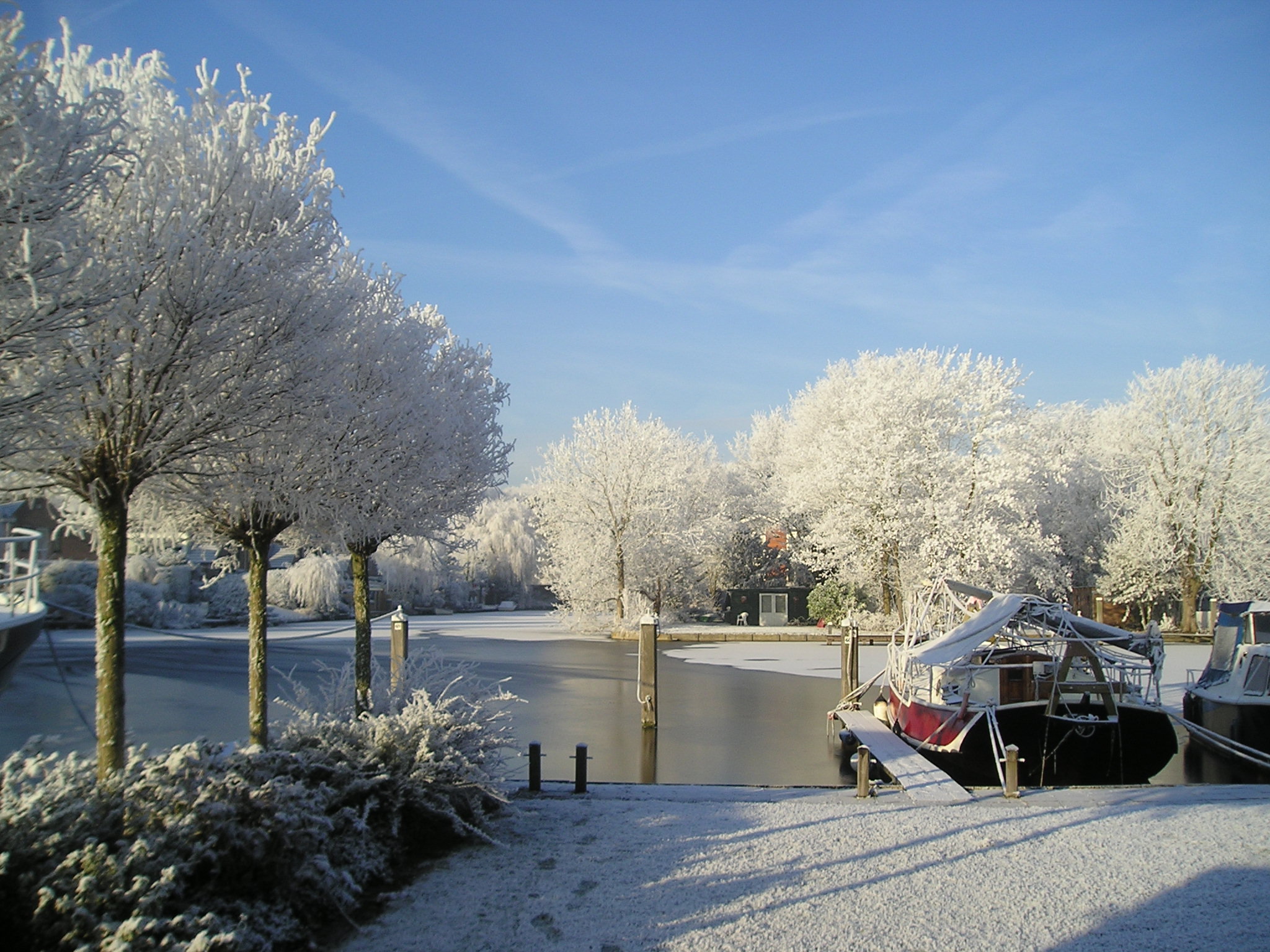 Havenkop in de sneeuw